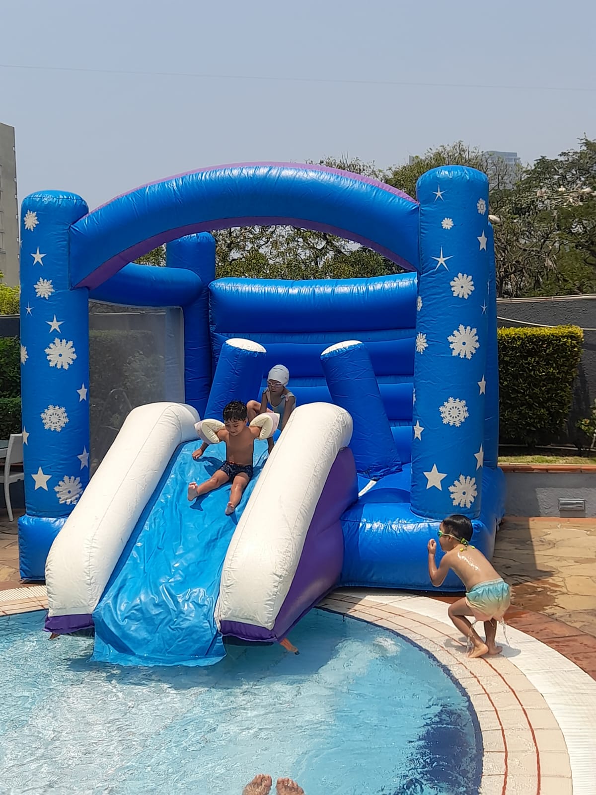 Frozen Slide bouncy castle